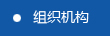 組織結構